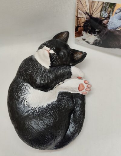 Tierurnen Katze-Portrait-071