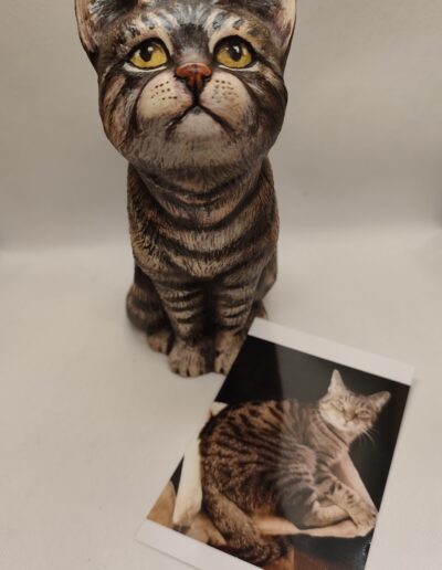 Tierurnen Katze-Portrait-075