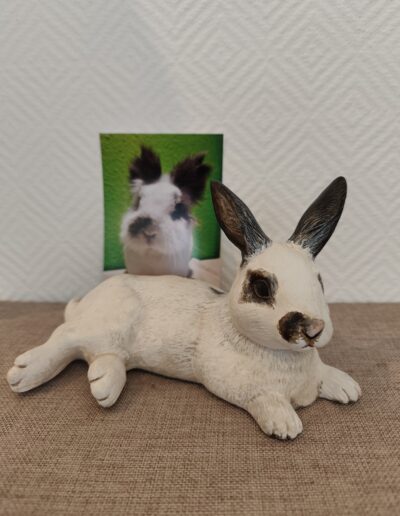 Tierurnen Hase -Portrait-004