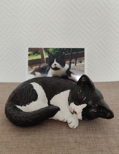 Tierurnen Katze-Portrait-075