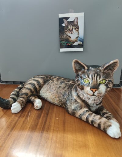 Tierurnen Katze-Portrait-073